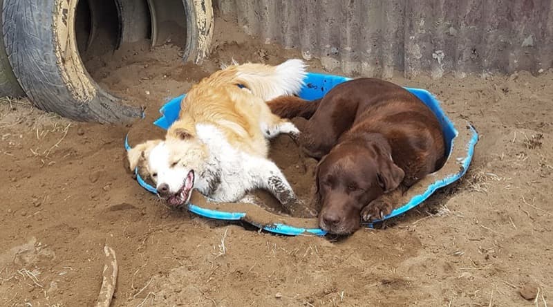 daycare photo 10