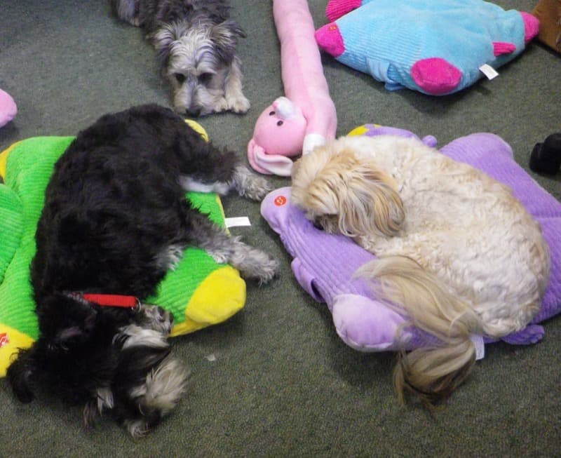 daycare photo 11