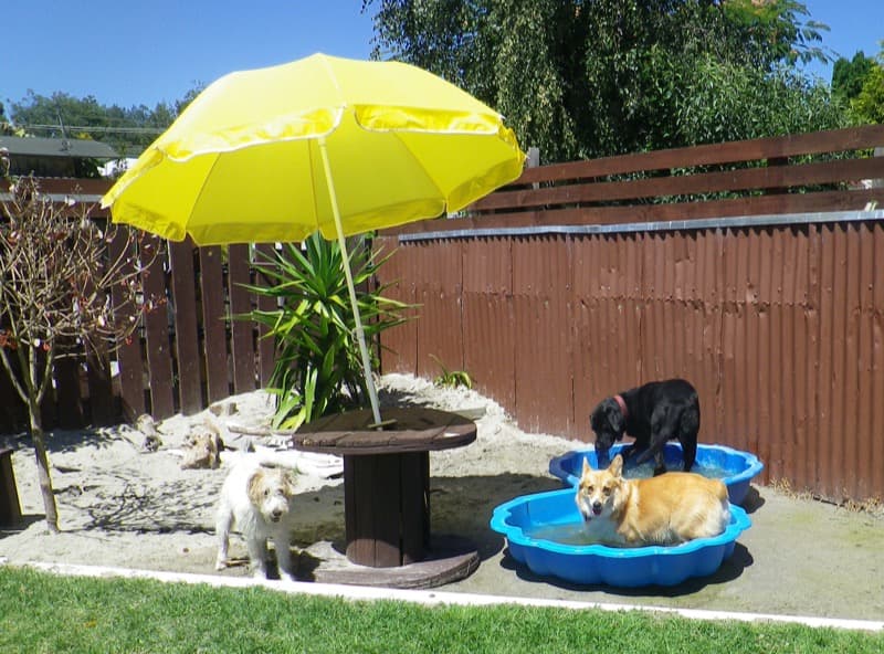 daycare photo 12