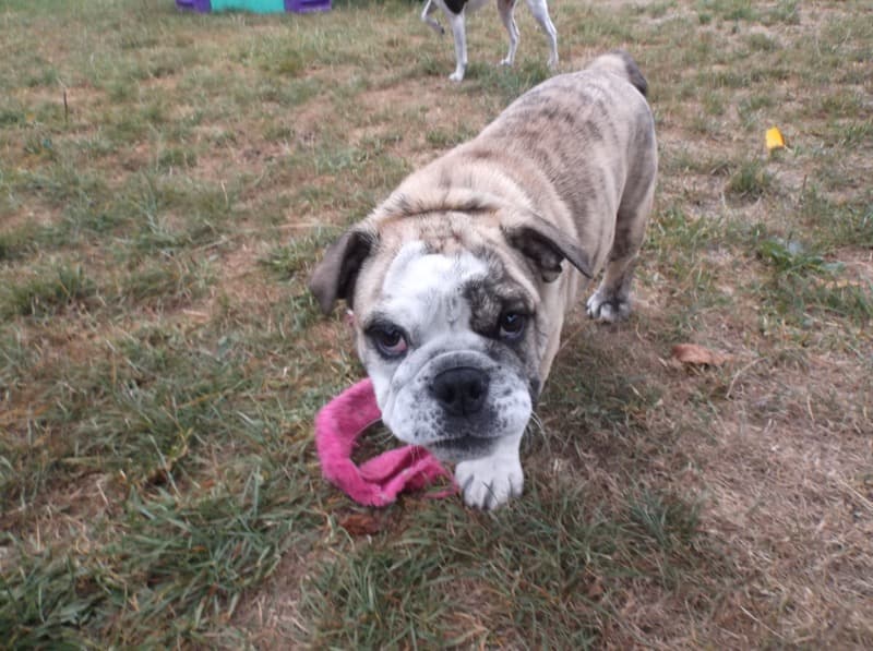 daycare photo 13
