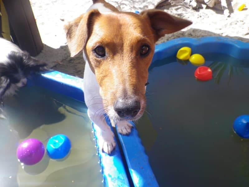 daycare photo 15