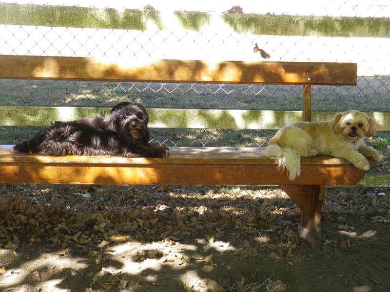 daycare photo 16