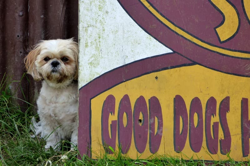 daycare photo 20