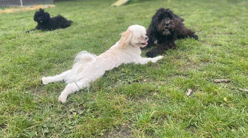daycare photo 33