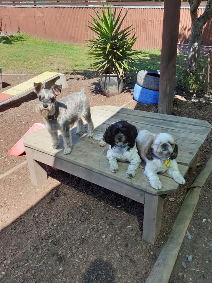 daycare photo 34