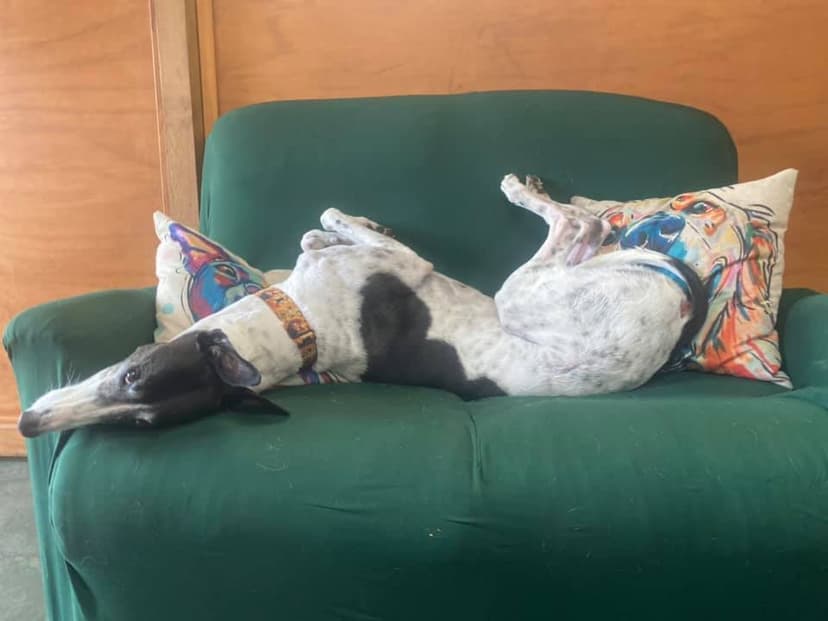 daycare photo 35
