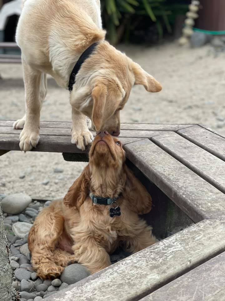daycare photo 36