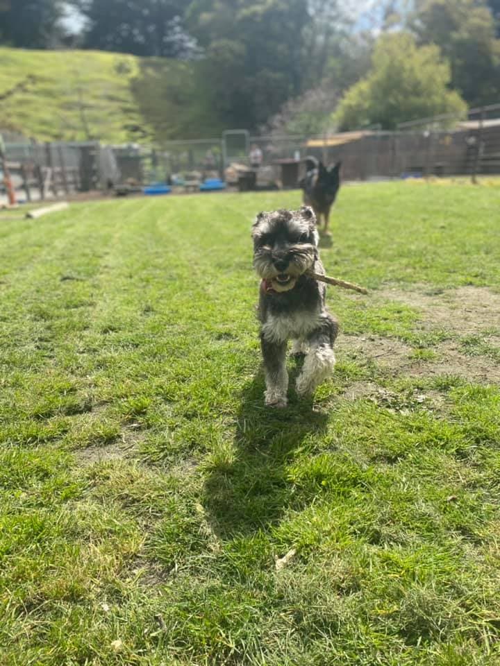 daycare photo 37