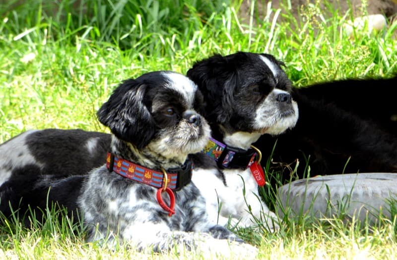 daycare photo 21