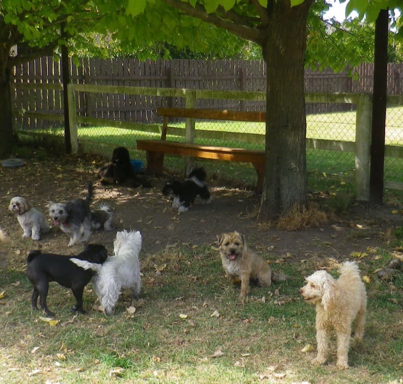 daycare photo 24