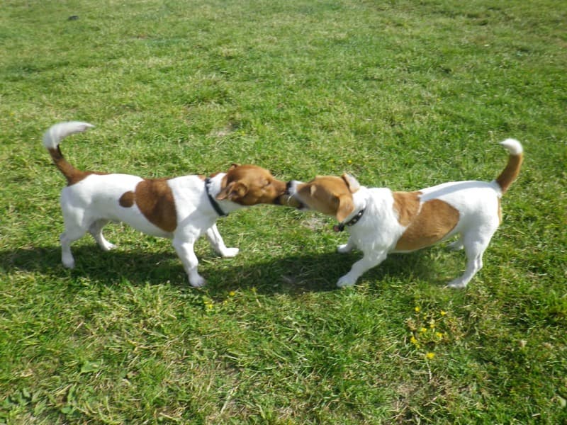 daycare photo 25