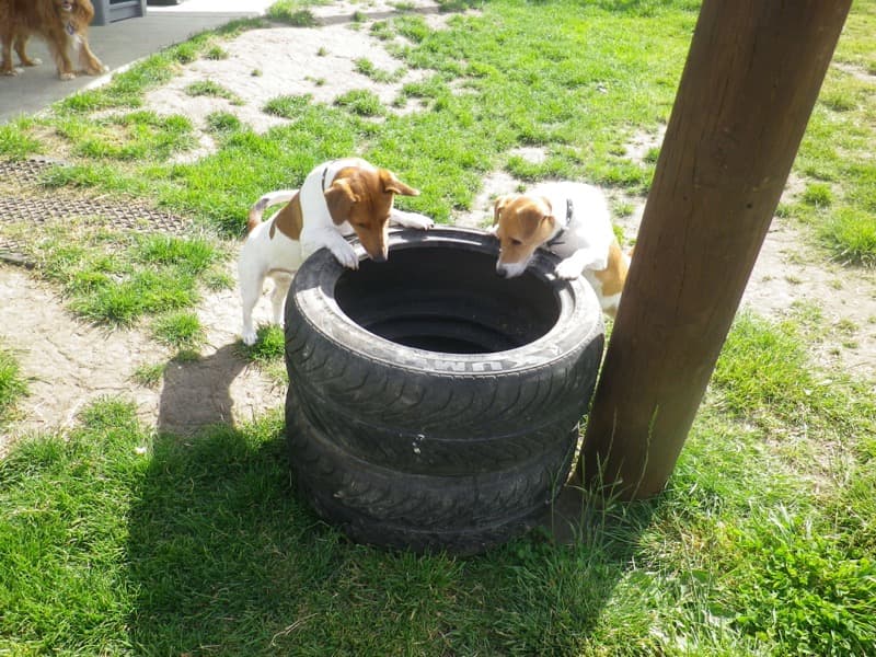 daycare photo 26