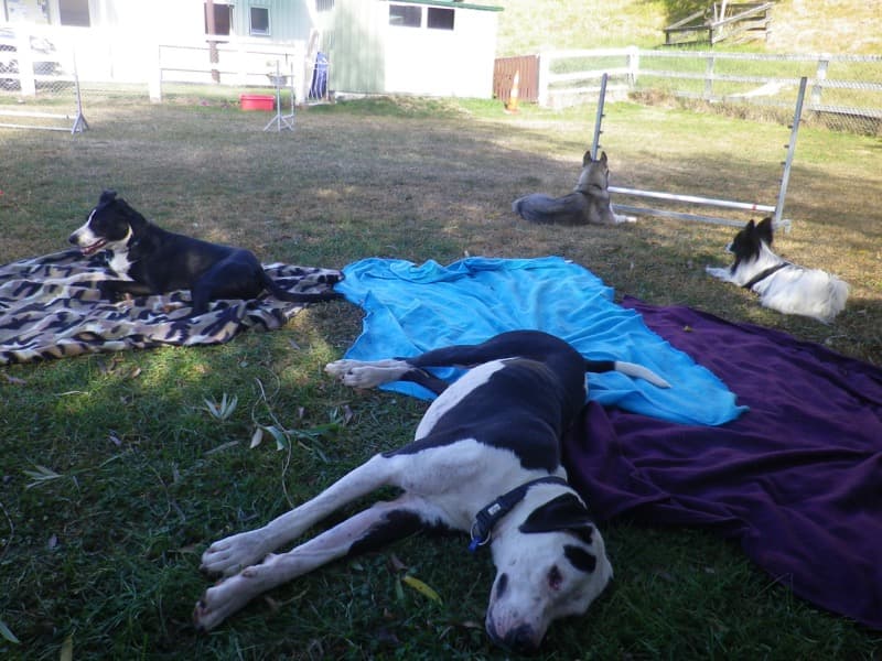 daycare photo 27