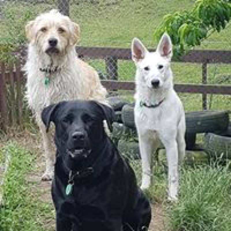 daycare photo 28