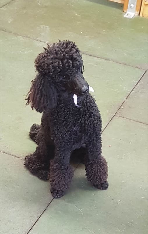 daycare photo 3