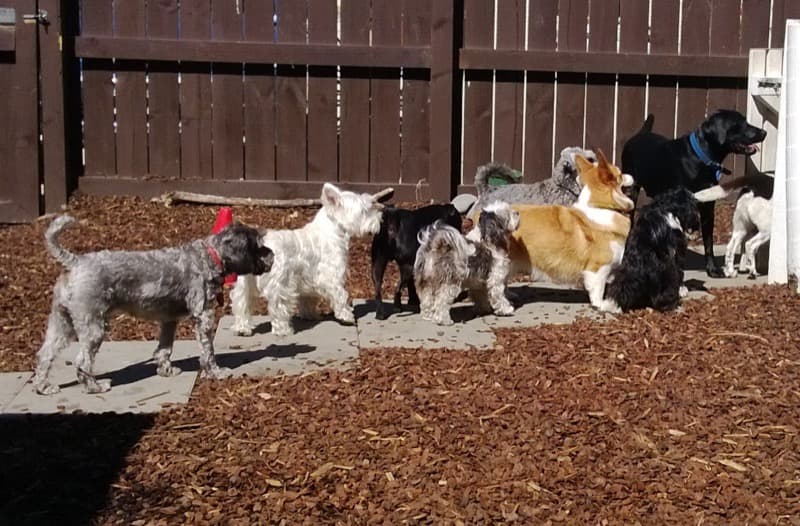 daycare photo 30