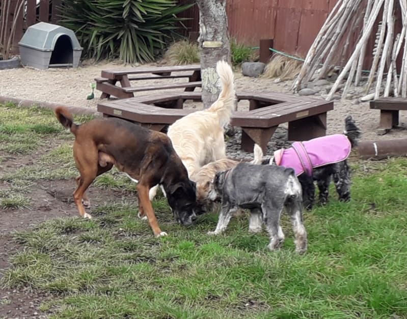 daycare photo 32