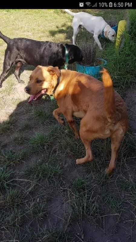 daycare photo 4