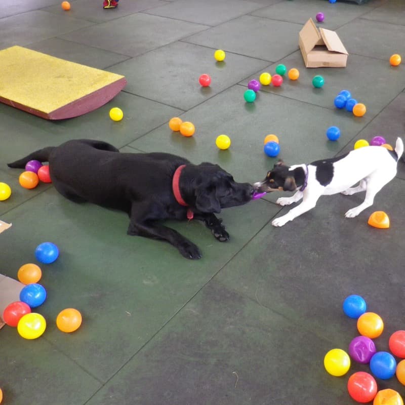 daycare photo 5