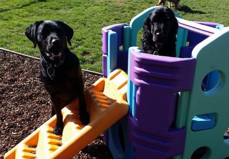 daycare photo 8