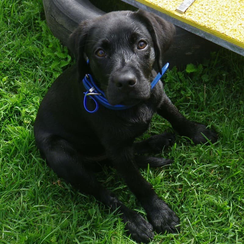 daycare photo 9