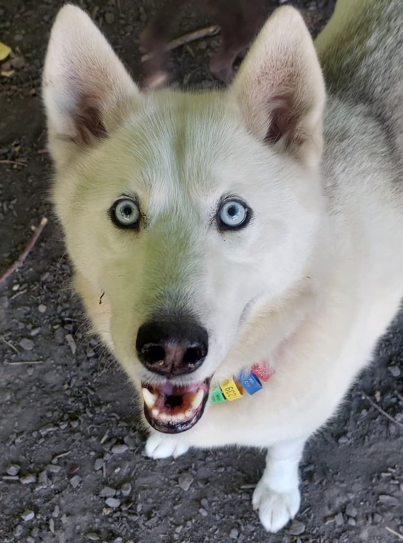 daycare photo 38