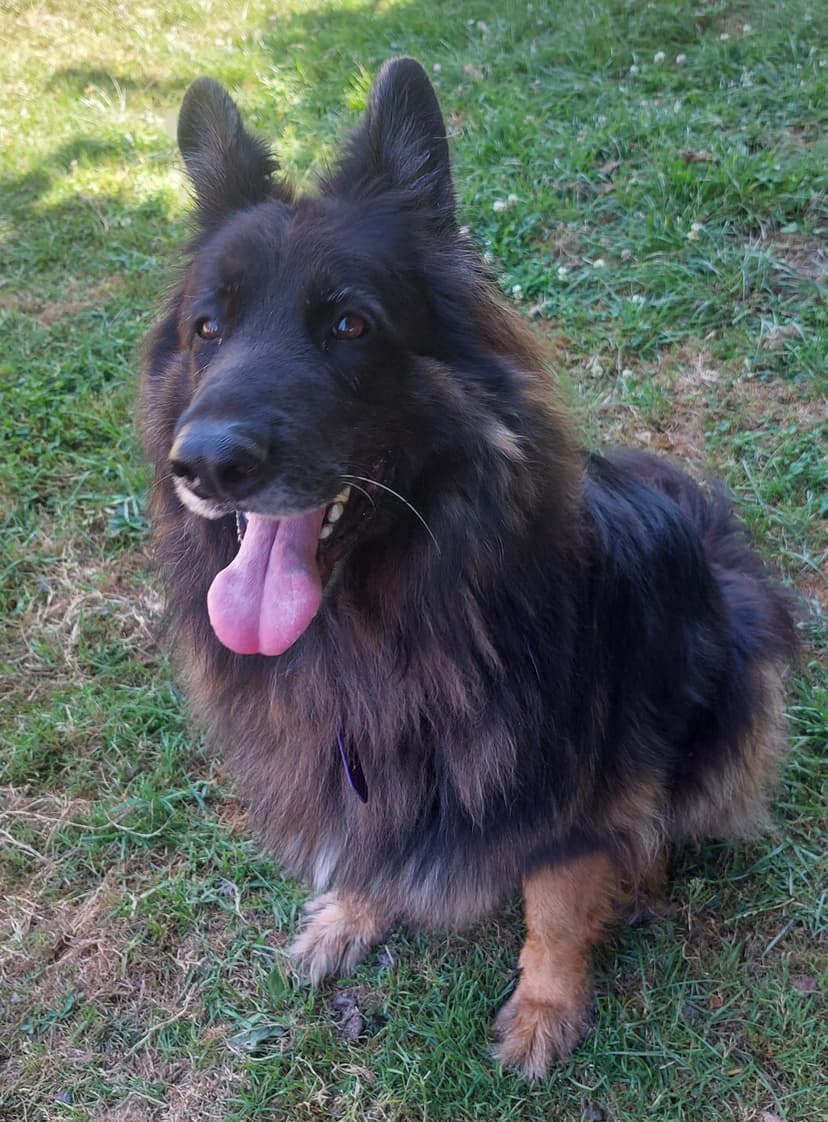 daycare photo 47