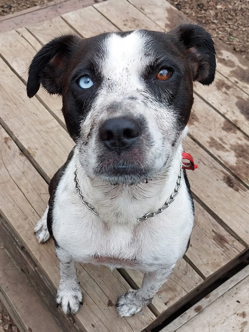 daycare photo 48