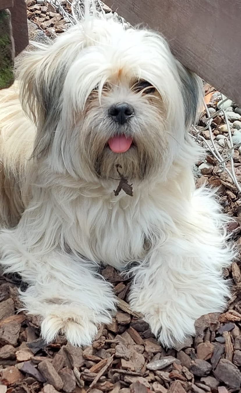 daycare photo 49