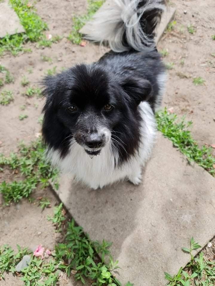 daycare photo 50