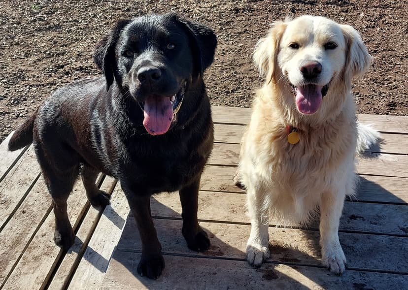daycare photo 51