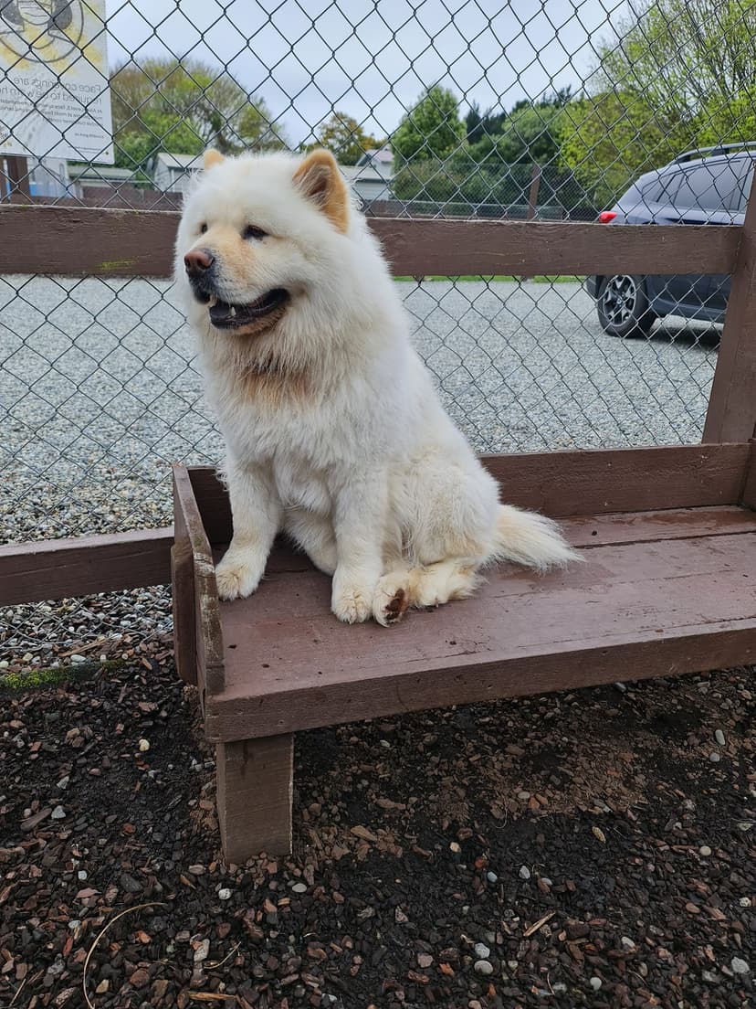 daycare photo 52