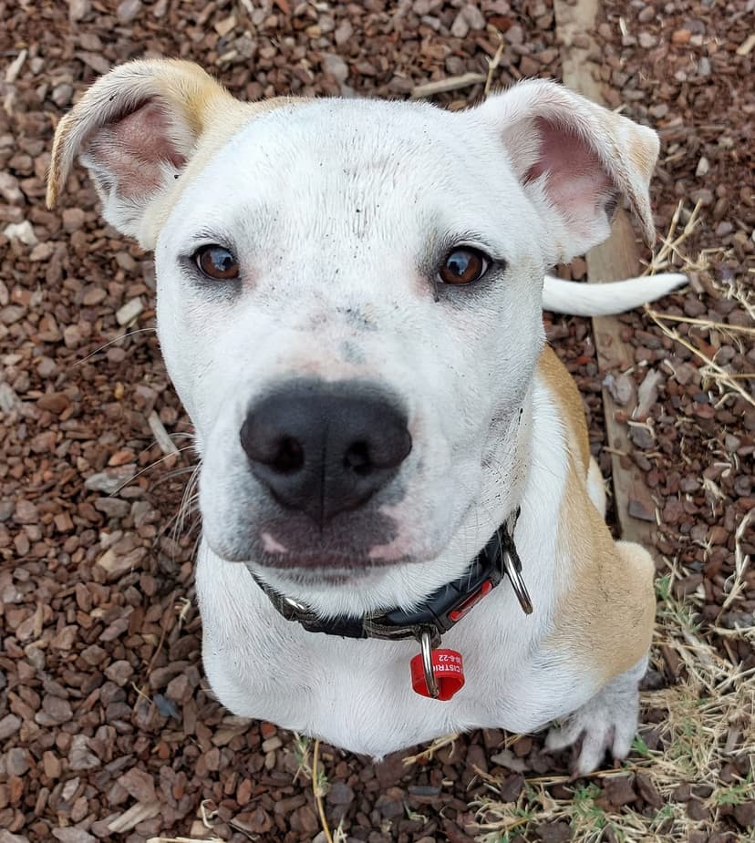 daycare photo 53
