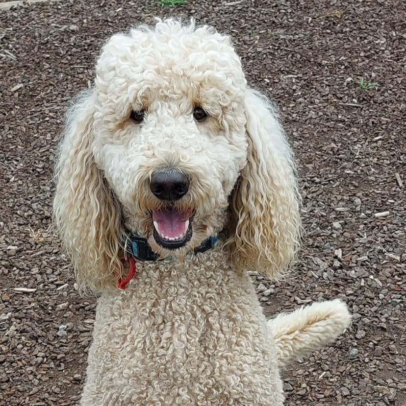 daycare photo 54