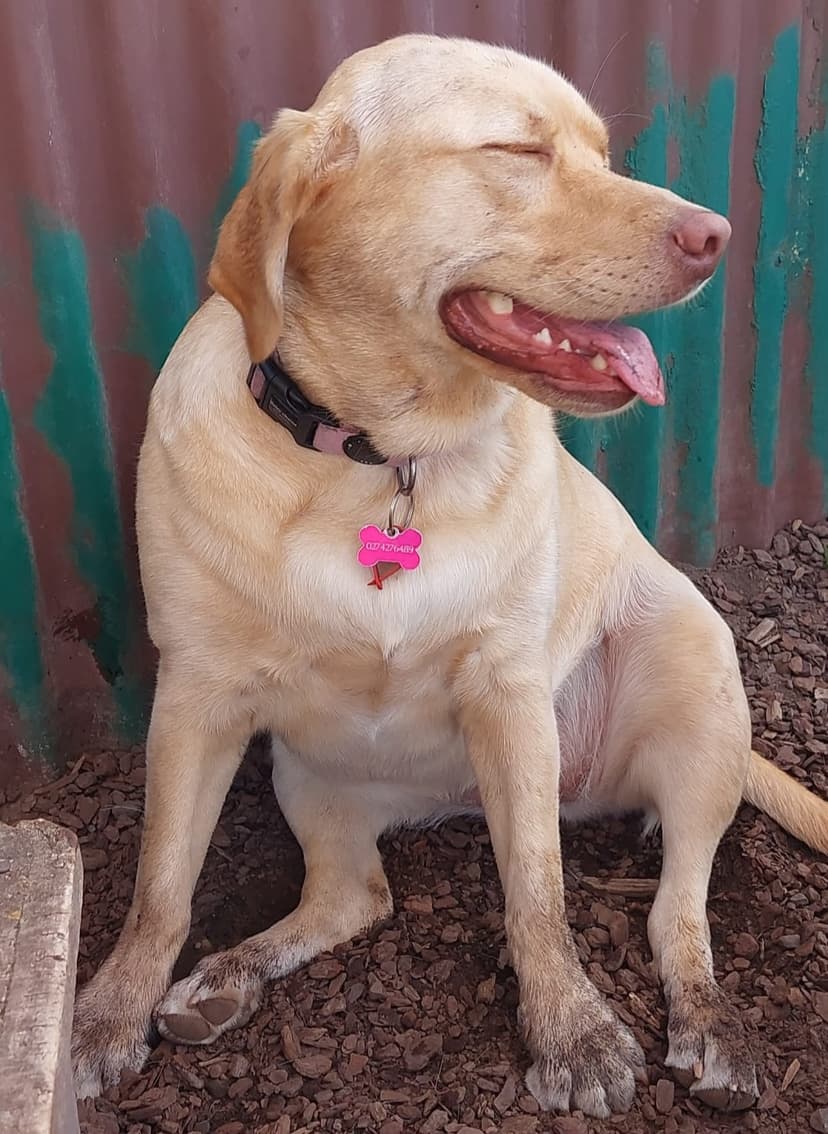 daycare photo 56