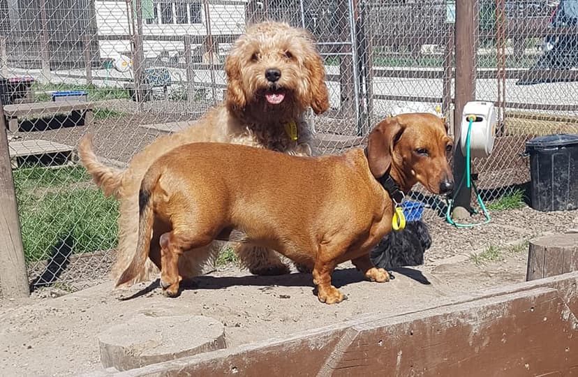daycare photo 57