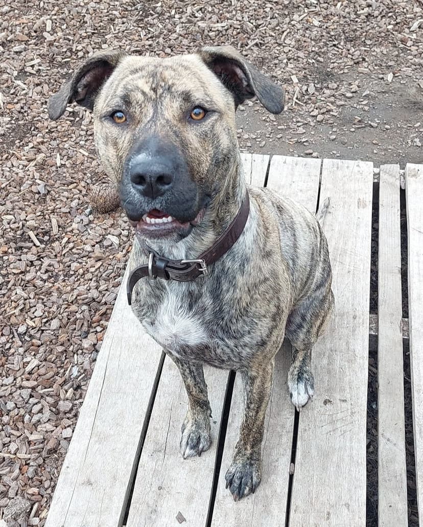 daycare photo 58