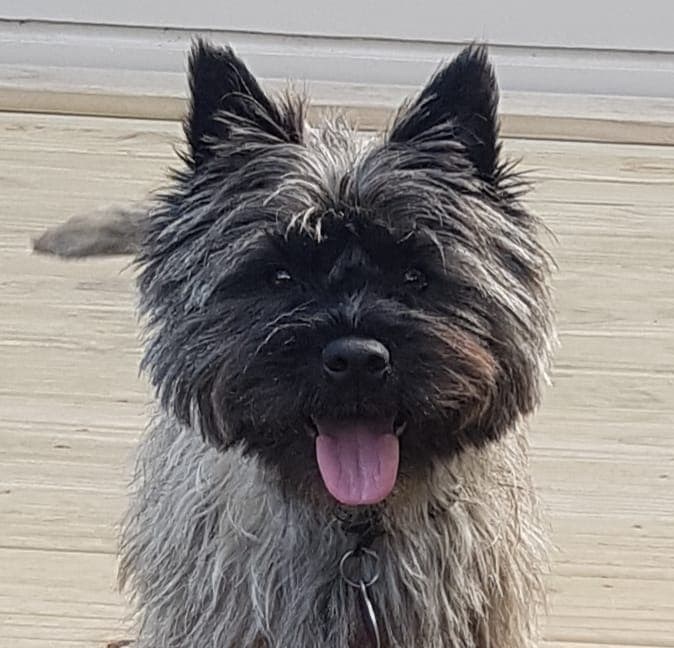 daycare photo 59