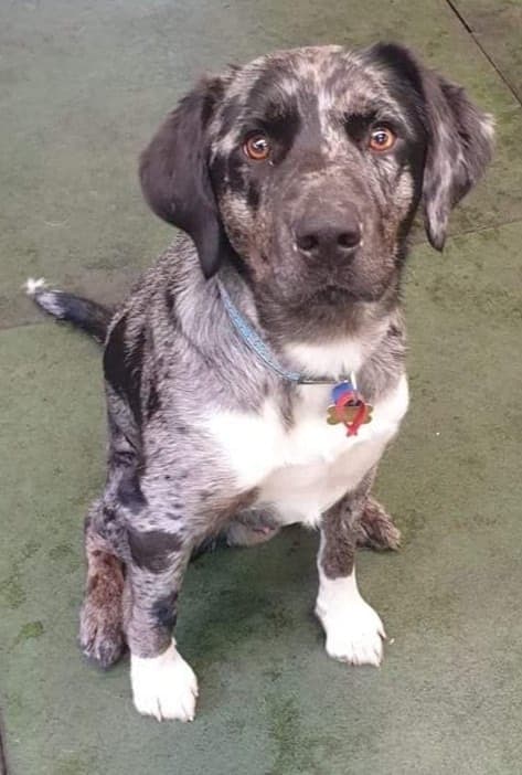 daycare photo 60