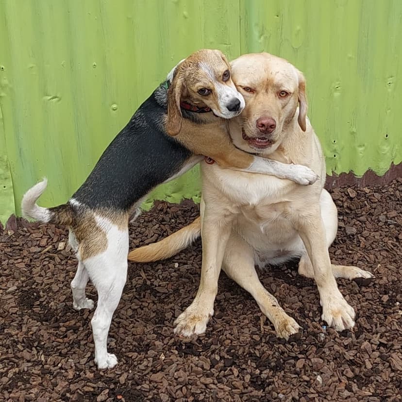 daycare photo 61