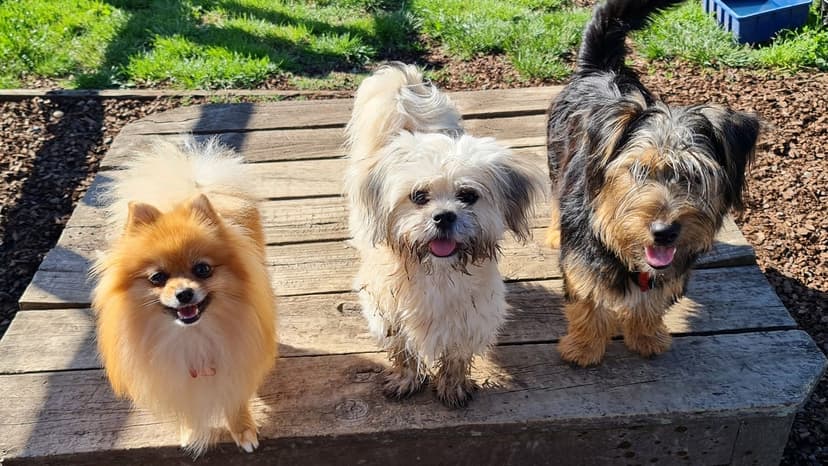 daycare photo 62