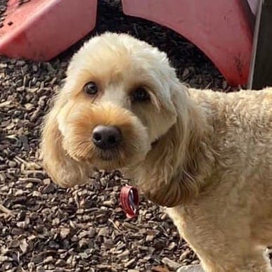 daycare photo 65