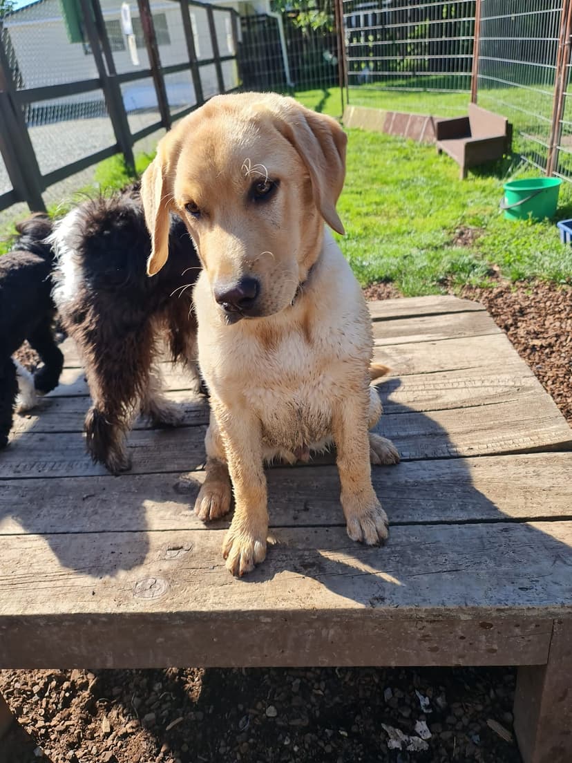 daycare photo 66
