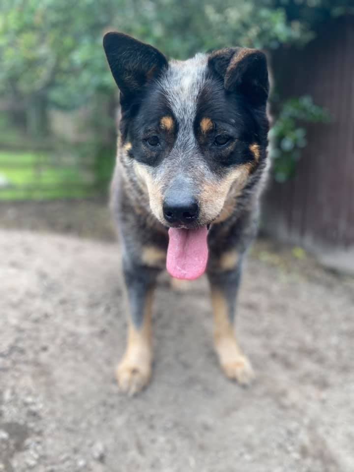 daycare photo 40