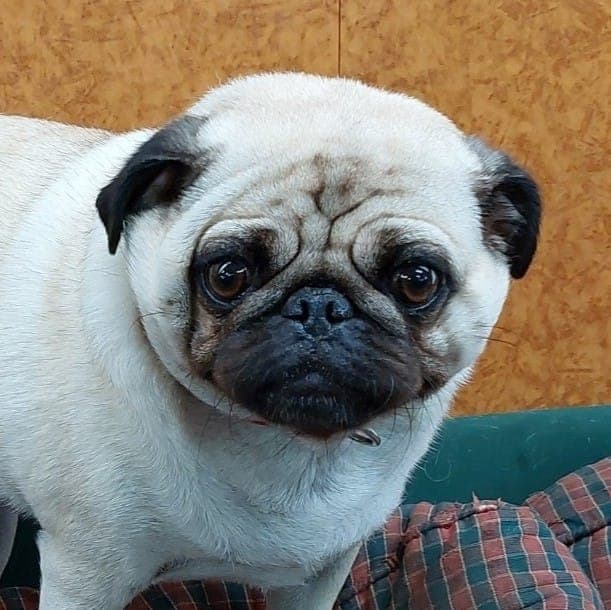 daycare photo 68