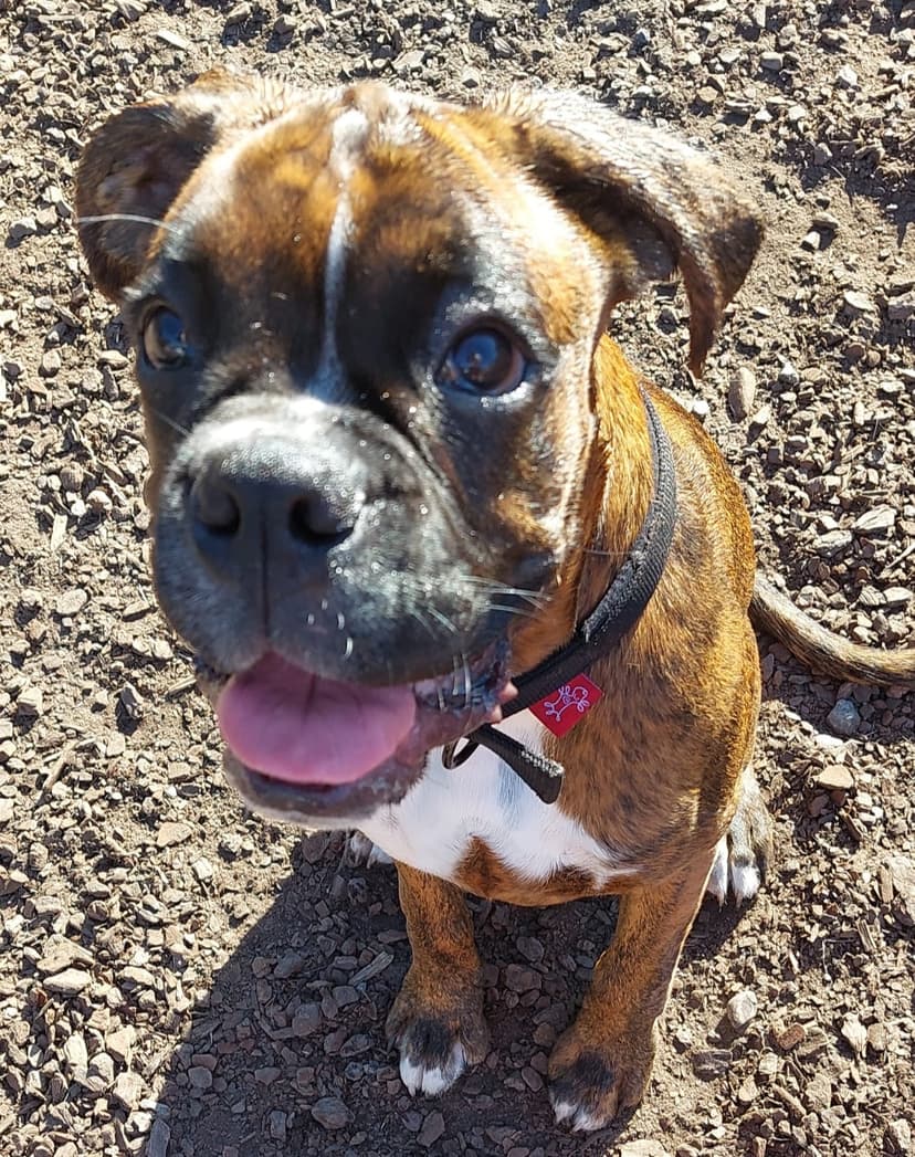 daycare photo 70