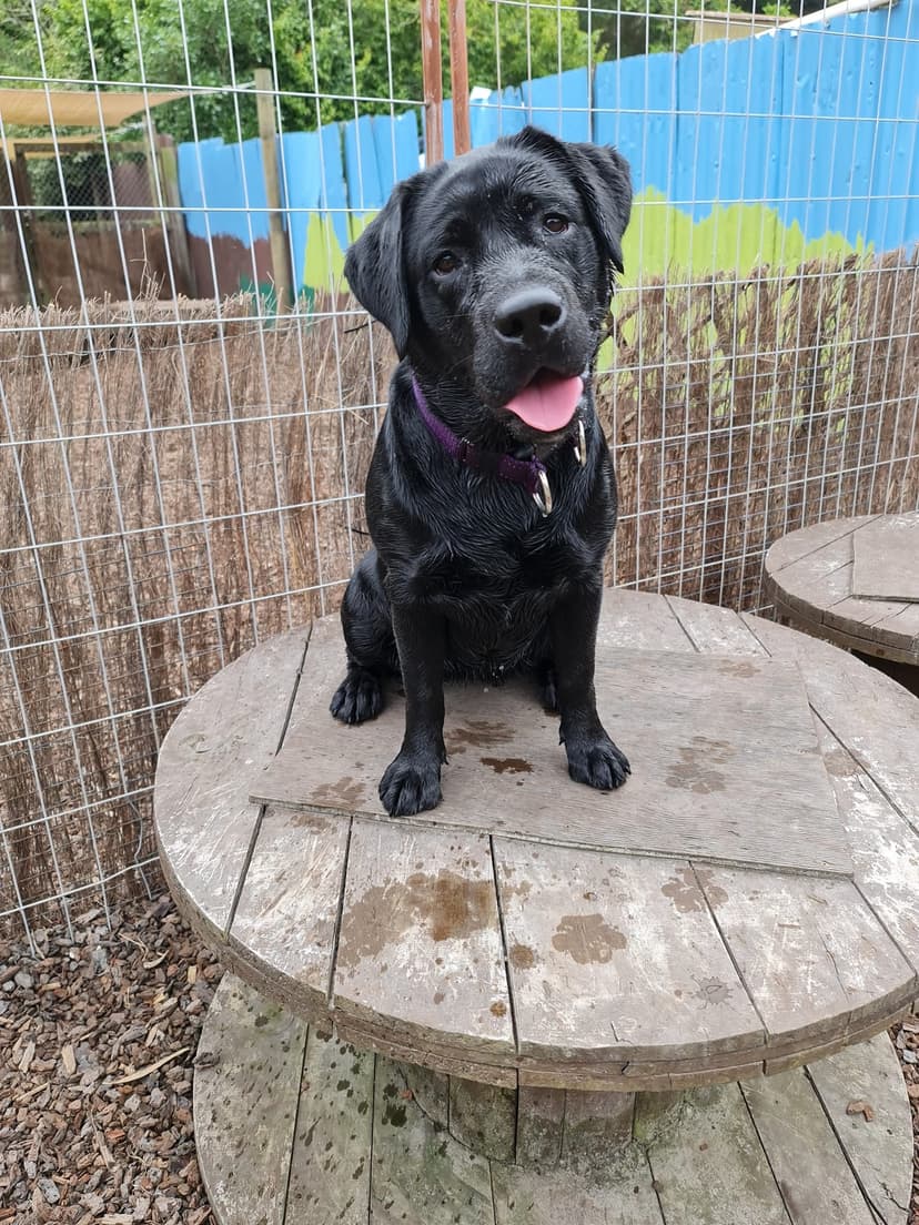 daycare photo 72