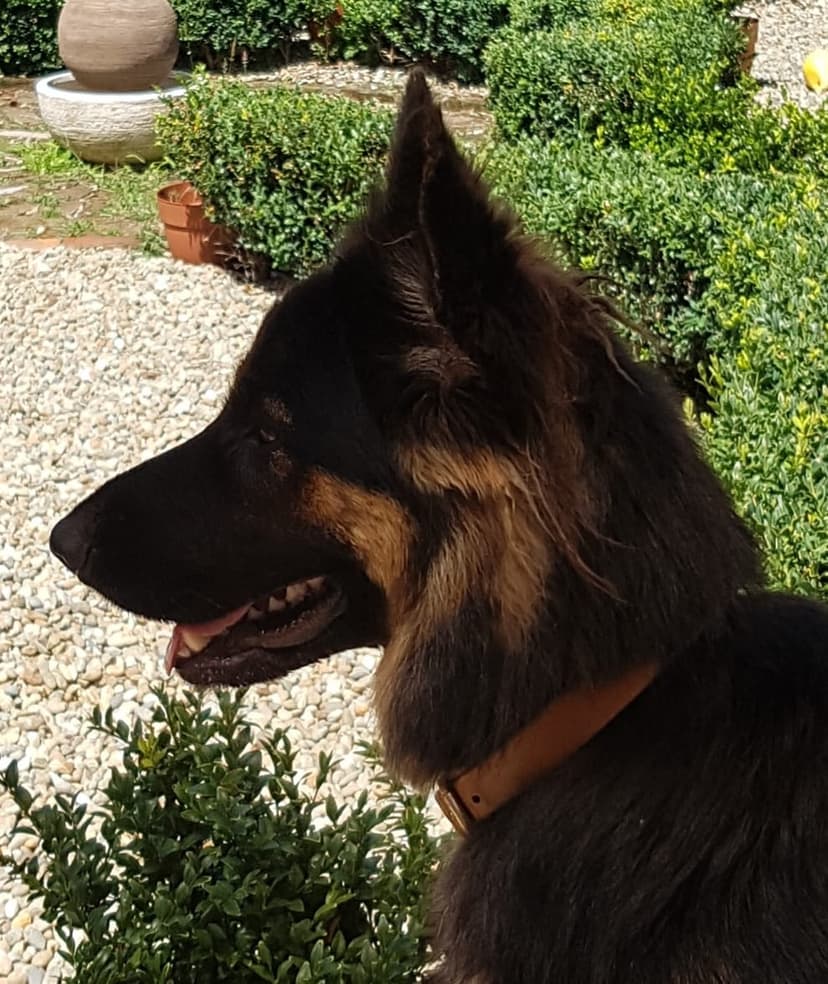 daycare photo 73