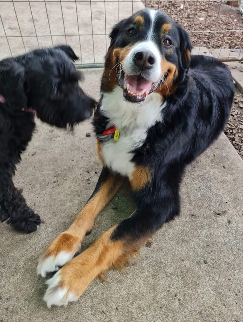 daycare photo 74