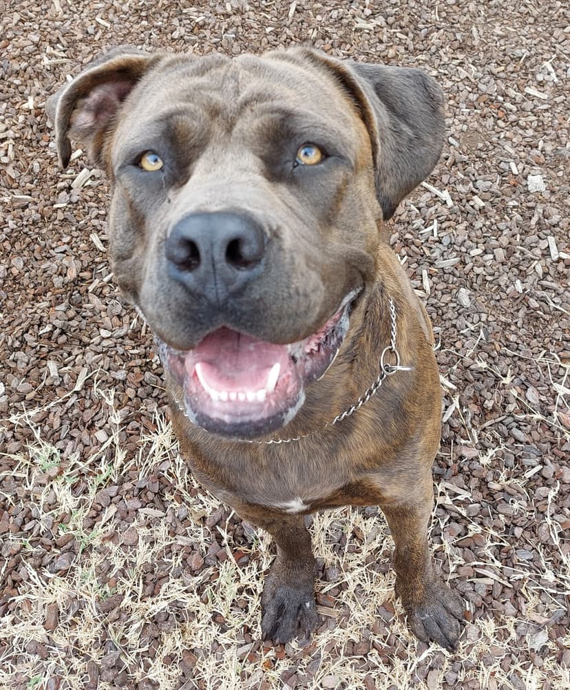 daycare photo 75